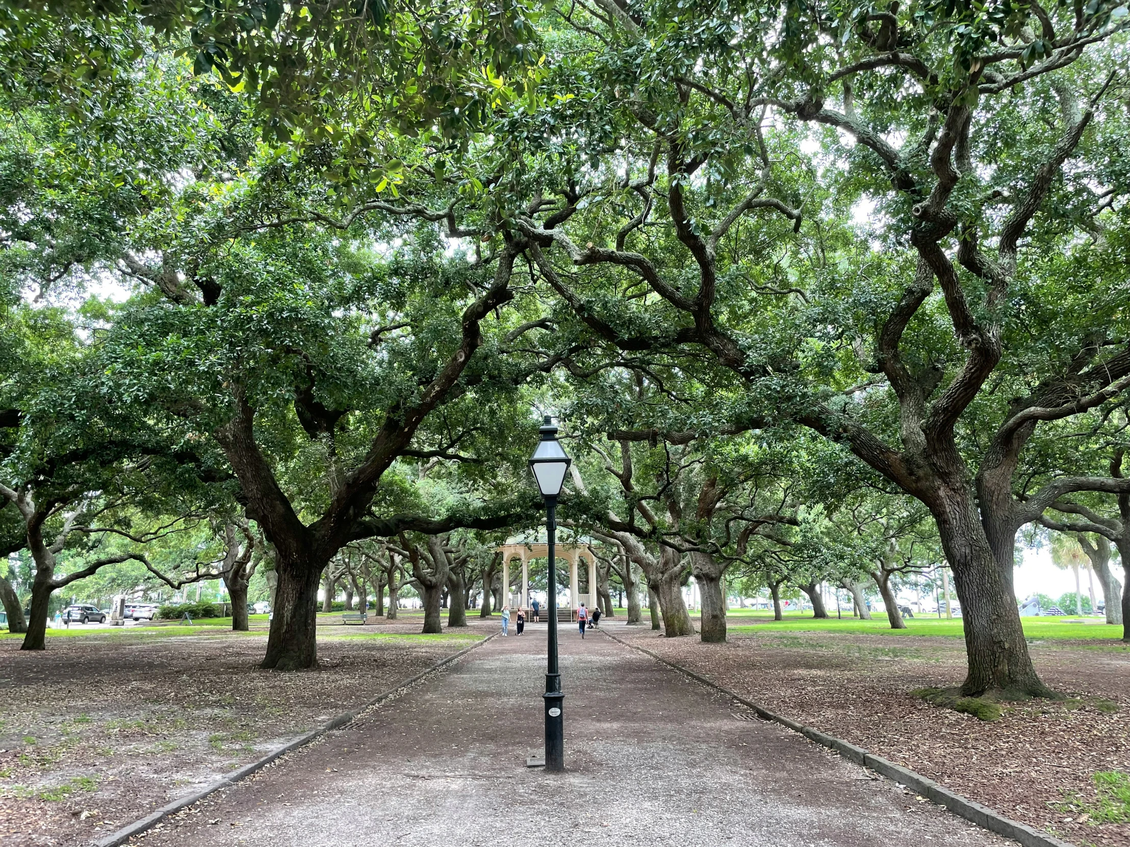 a street lamp and many trees in the background