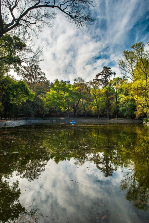 there is an empty body of water with a tree reflection in the water