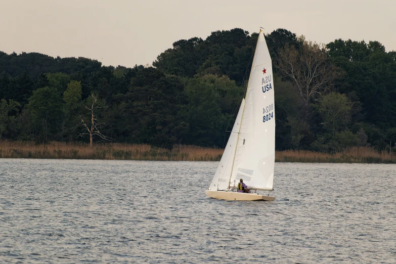 sailboat with white sail floating on calm lake