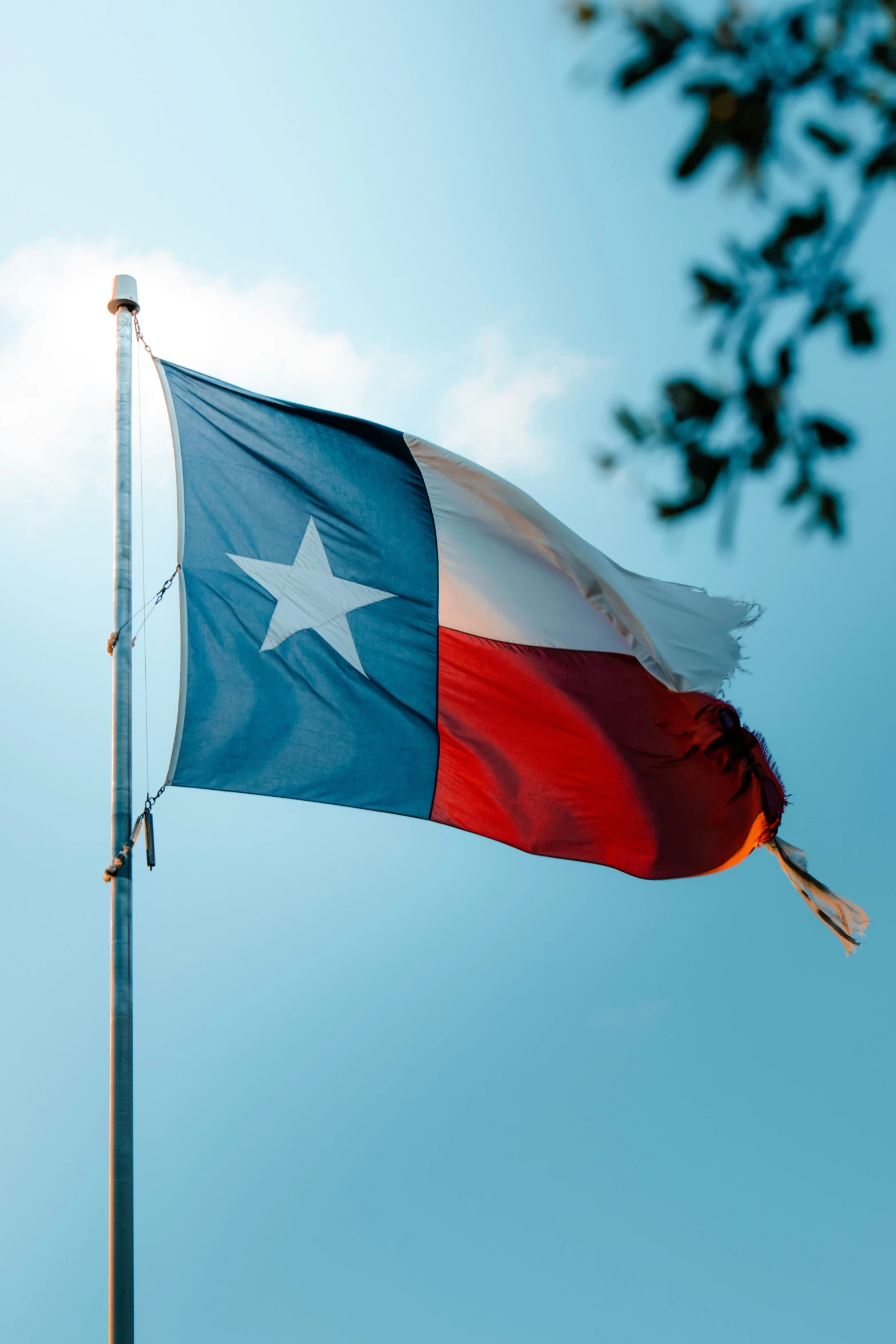 an texas flag is waving with the sun in the background