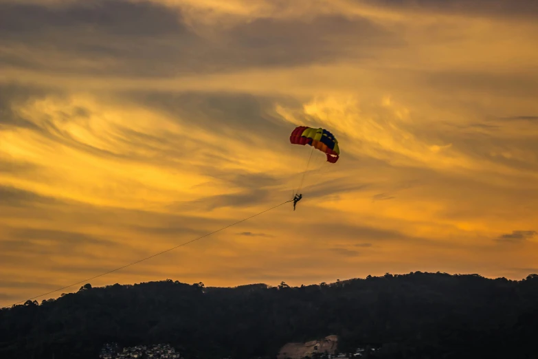 two people in a field flying a kite