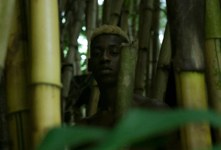 a young man standing in the middle of a bamboo forest