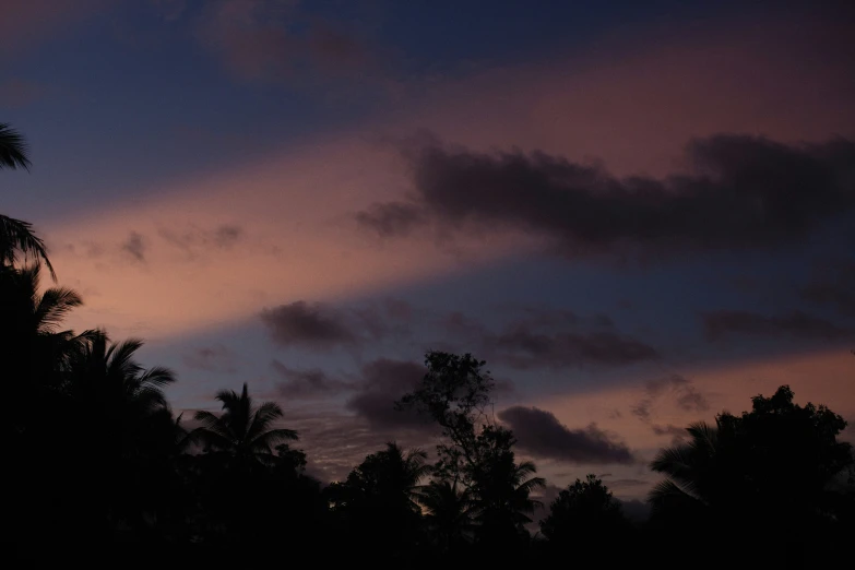 this is an image of a sunset and trees