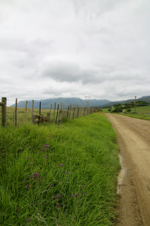 a dirt road next to a lush green field