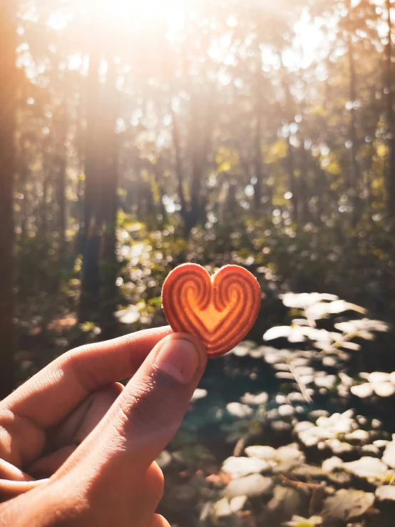 person holding up an orange wooden heart in a forest