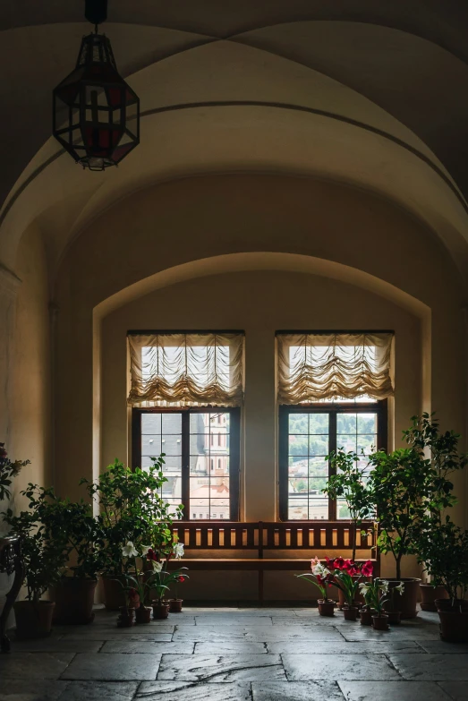 there are many potted plants in the window sill