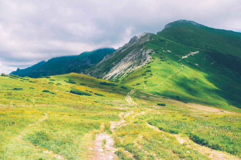 a dirt road and green grass near mountains