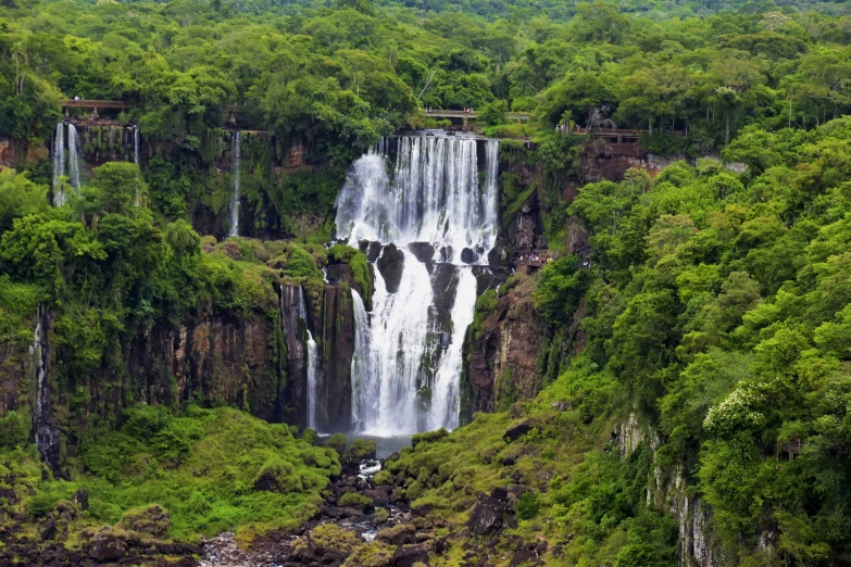 many tall waterfalls next to each other in a green forest