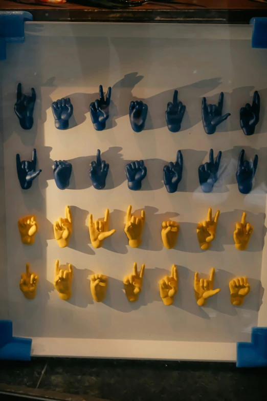 display with various sizes and shapes of fingers