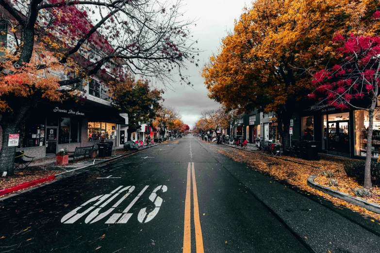 an empty street with some very colorful trees