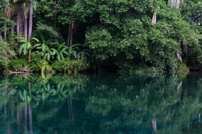 the water in the woods has many ripples and trees