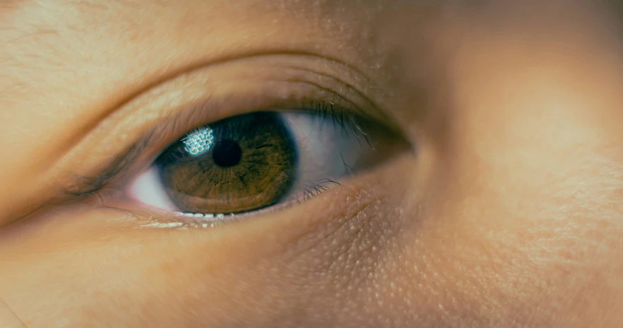 the brown eyes of a woman, close up