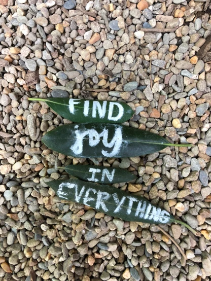 two leaves are seen on the ground with a sign that reads find joy in everything else