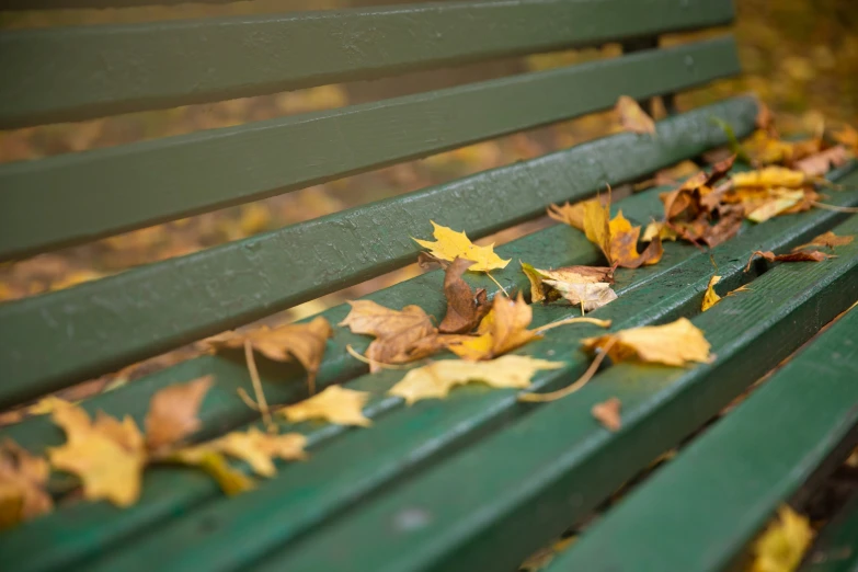 the leaves are covering the green bench