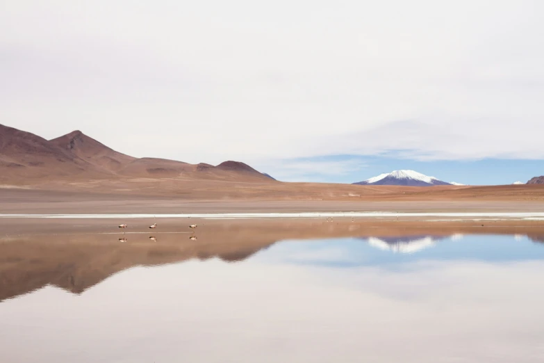 a landscape po showing three birds sitting on the water