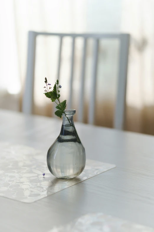 a clear glass vase with an olive nch in it
