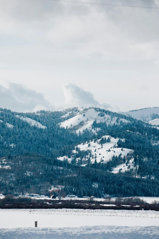 a view of snowy mountains with the grass in the foreground