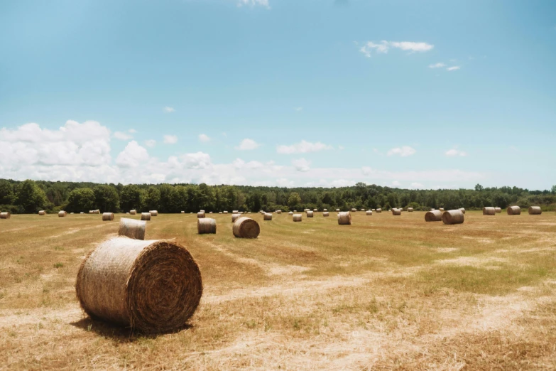 several bales are laying in the middle of a field