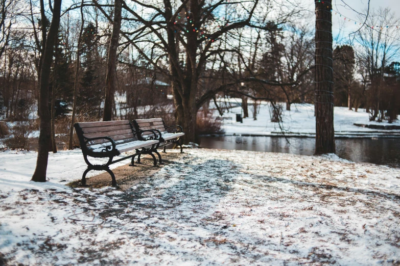 a park bench and stream during wintertime with lights strung from trees