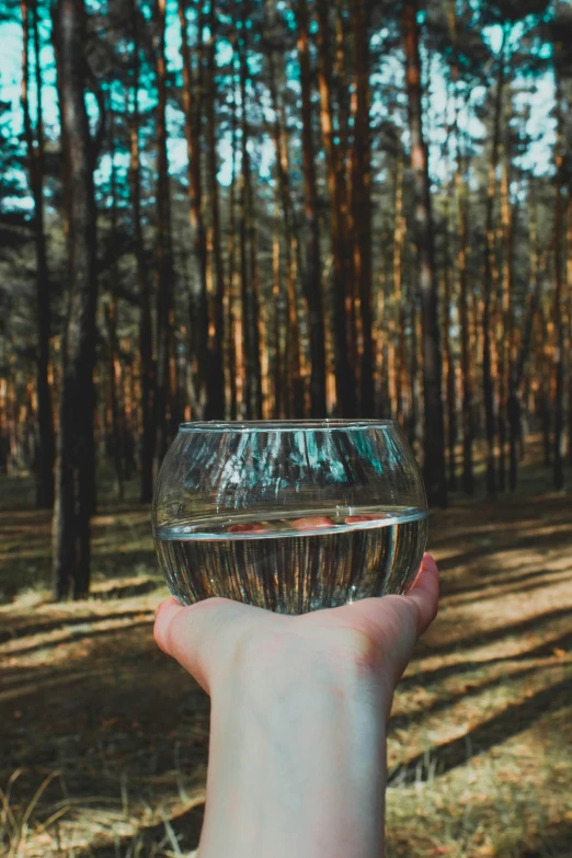 someone holding up a glass to take it out in a forest