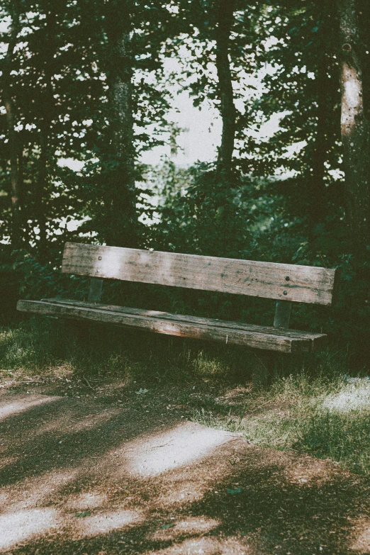 a park bench that is in the grass