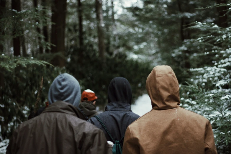 two people wearing hooded coats are walking through the woods