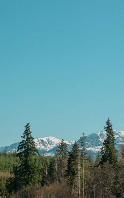 a grassy field with trees and snow covered mountains in the background