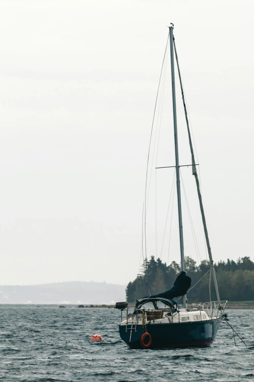 a sailboat in the ocean near some trees