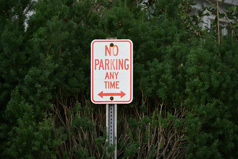 a no parking sign on a street corner