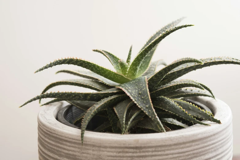 a small white pot sitting on top of a table