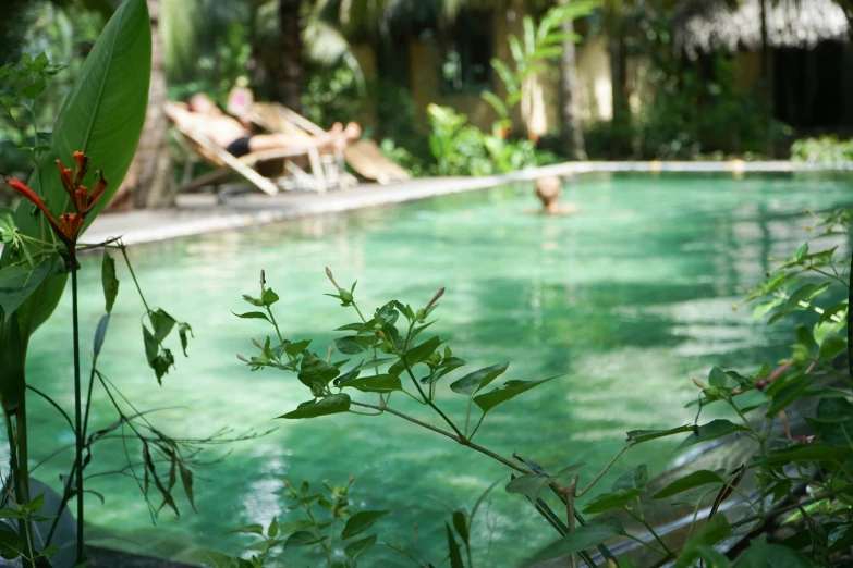 a person that is swimming in some water