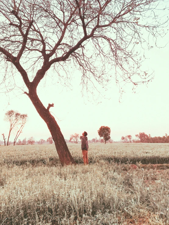 person standing next to a tree looking at soing