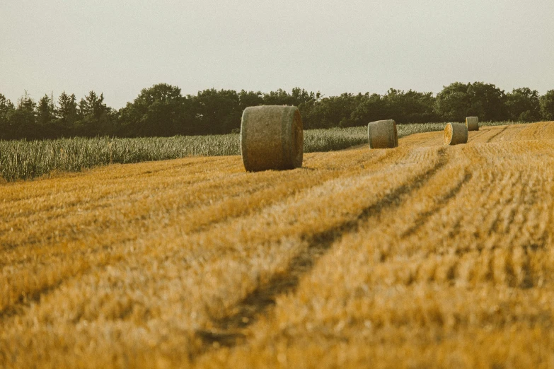 two bales of hay in a field with a trail