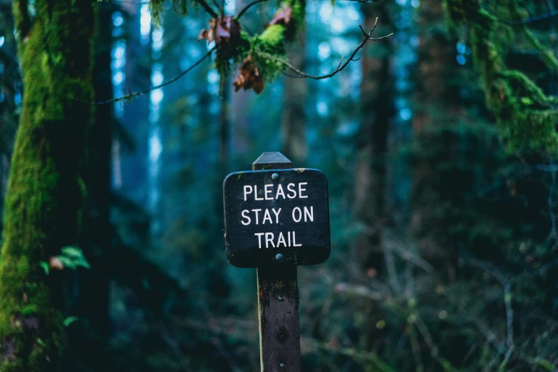 a sign stands in front of the trees