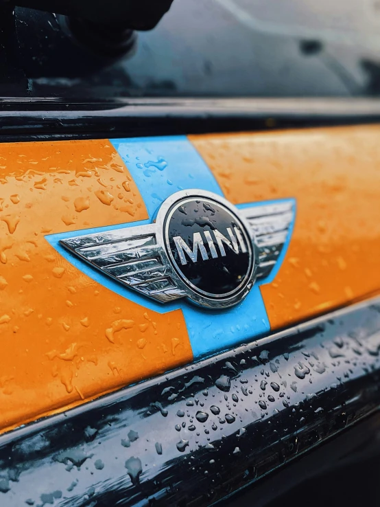 a car's badge and the word mini on it