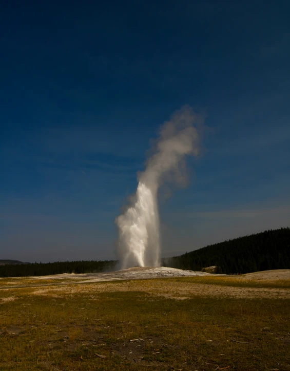 geyser spewing water on the side of a hill in yellowstone