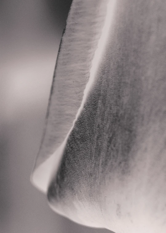 a close - up of the texture of fabric on a pillow