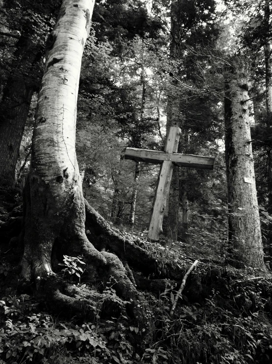 a cross in the middle of a forest