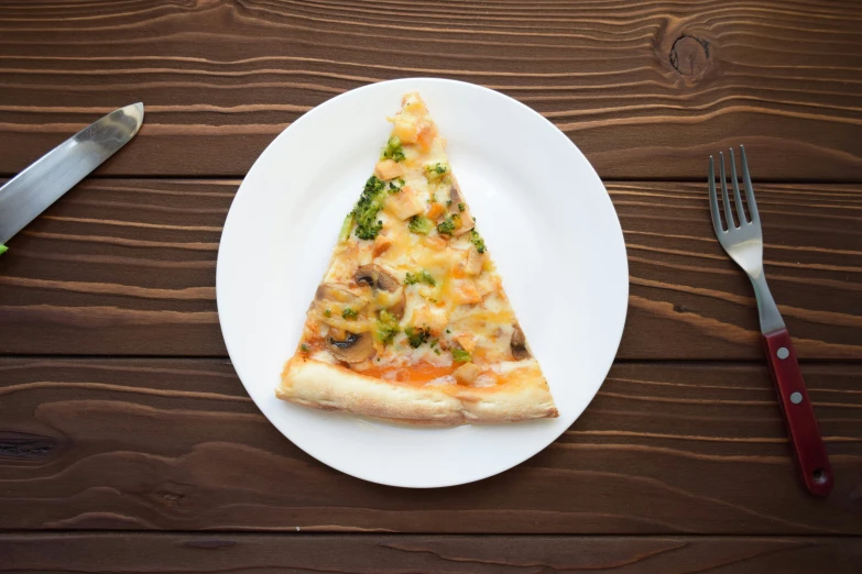 a slice of pizza on a white plate with a fork