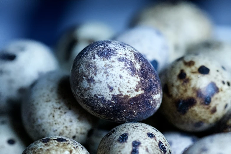 many speckled eggs sit together in a pile
