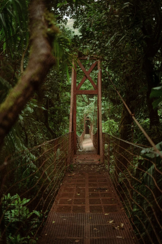 a walk bridge is surrounded by trees on one side and an old wooden walkway is the second