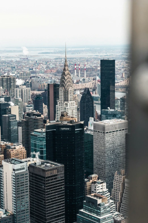 the city skyline from the top of the building