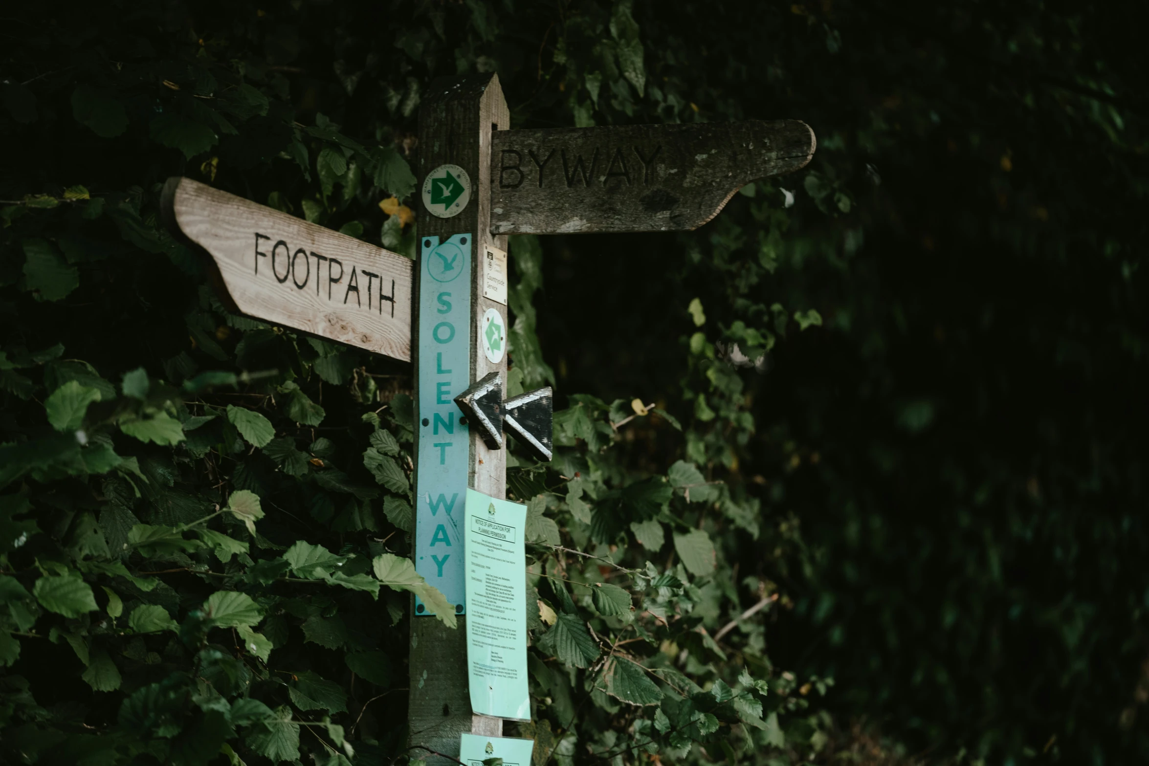 a street sign sitting on the side of a lush green forest