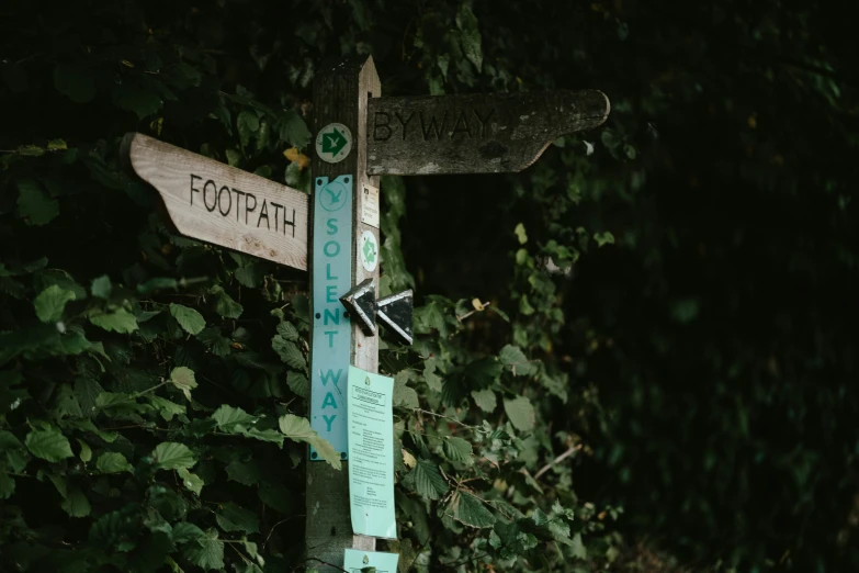 a street sign sitting on the side of a lush green forest