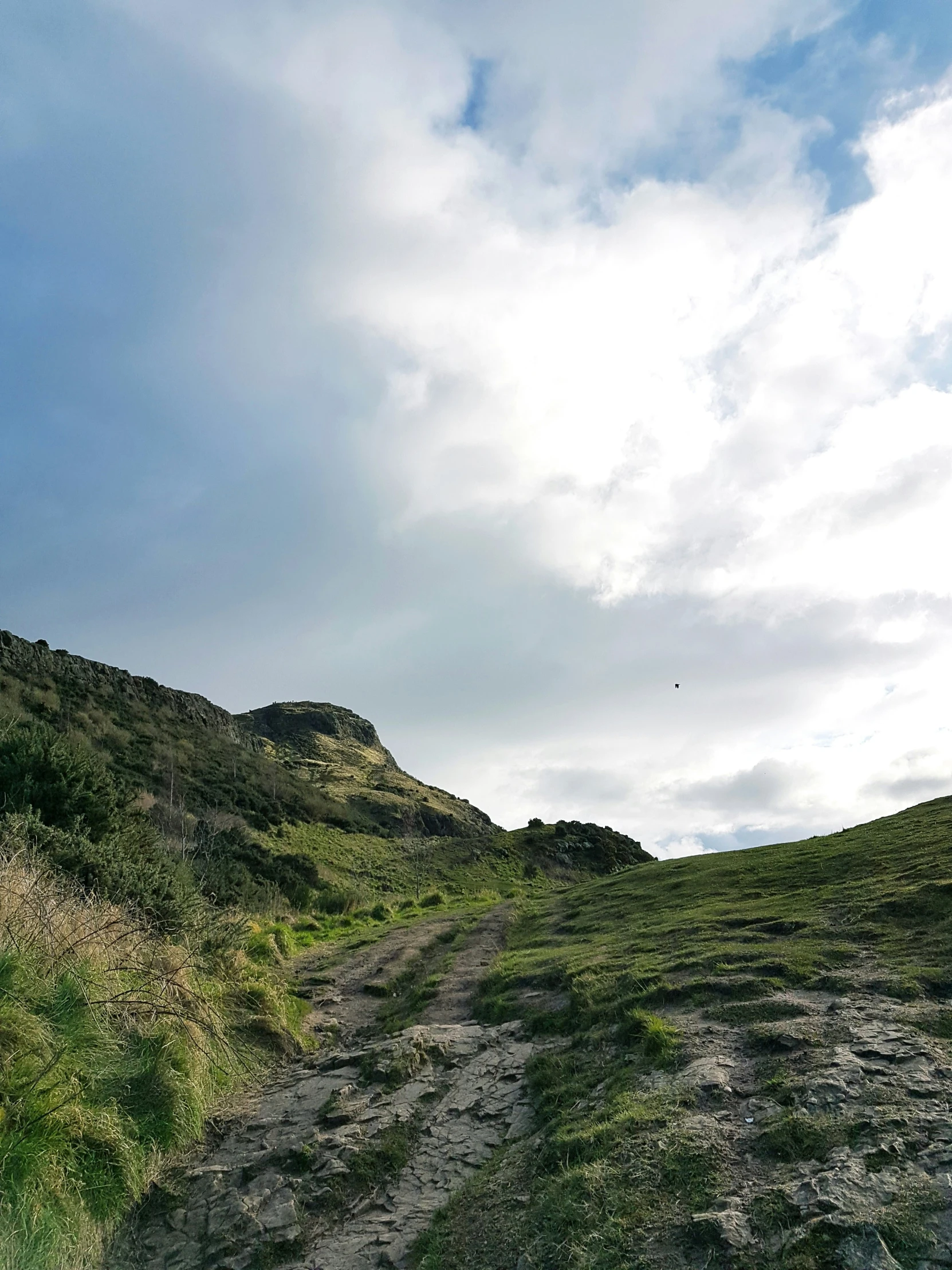 a path down to the top of a hill with grass on both sides