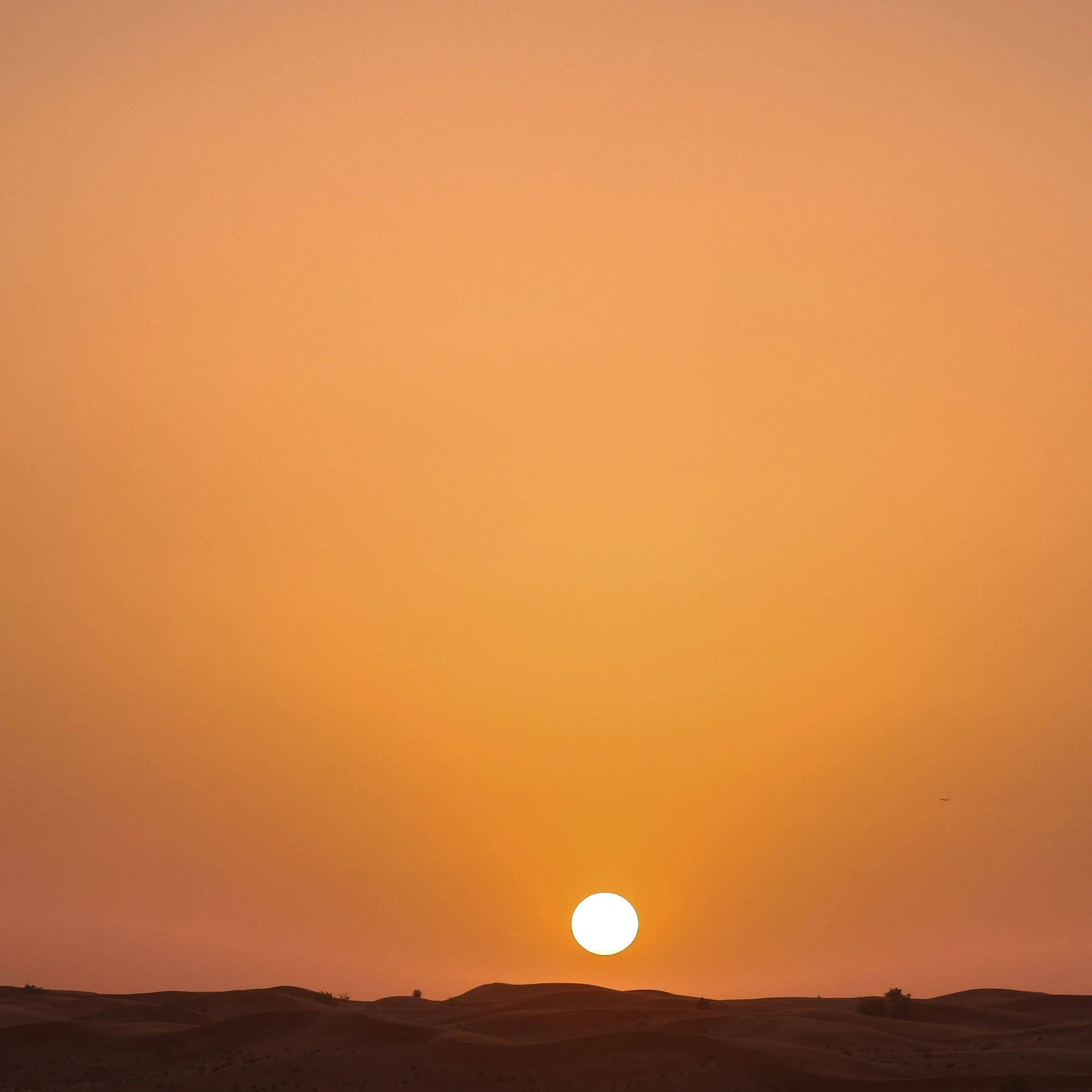 a giraffe walks along a sand plain as the sun sets