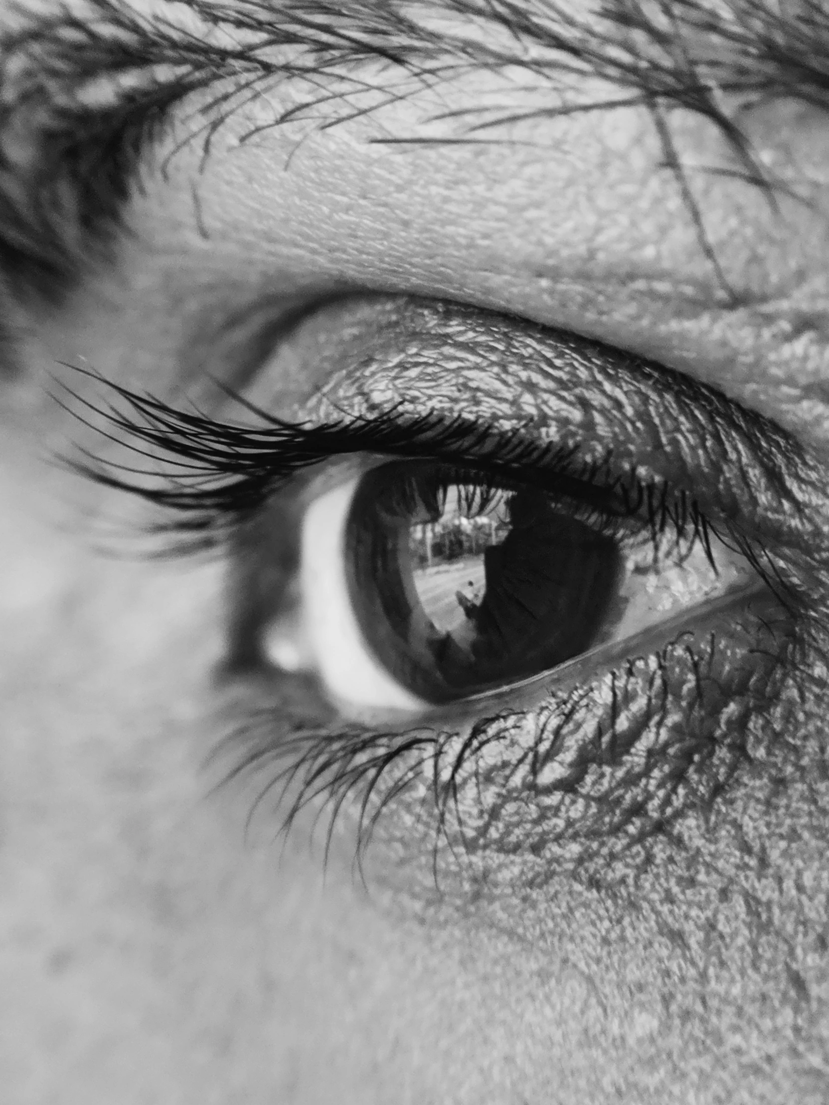 black and white pograph of a persons eye