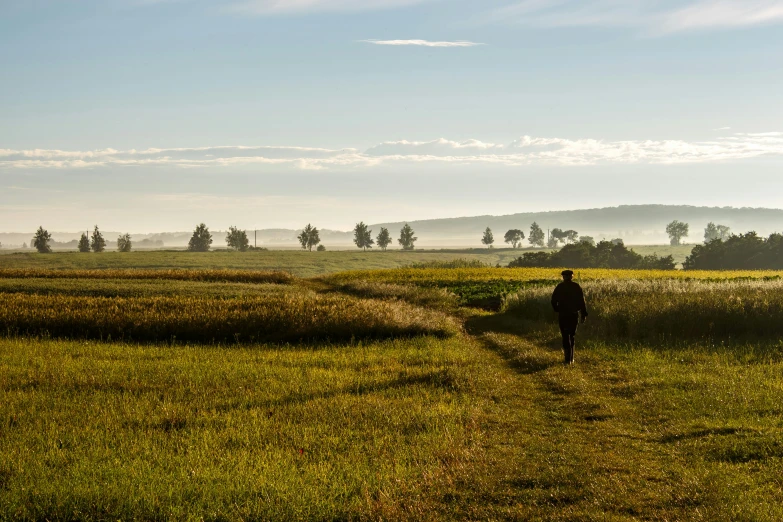 a person walking along a grass field towards the mountains