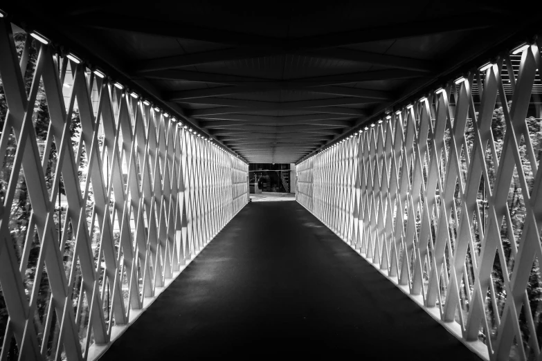black and white image of bridge made of white lines