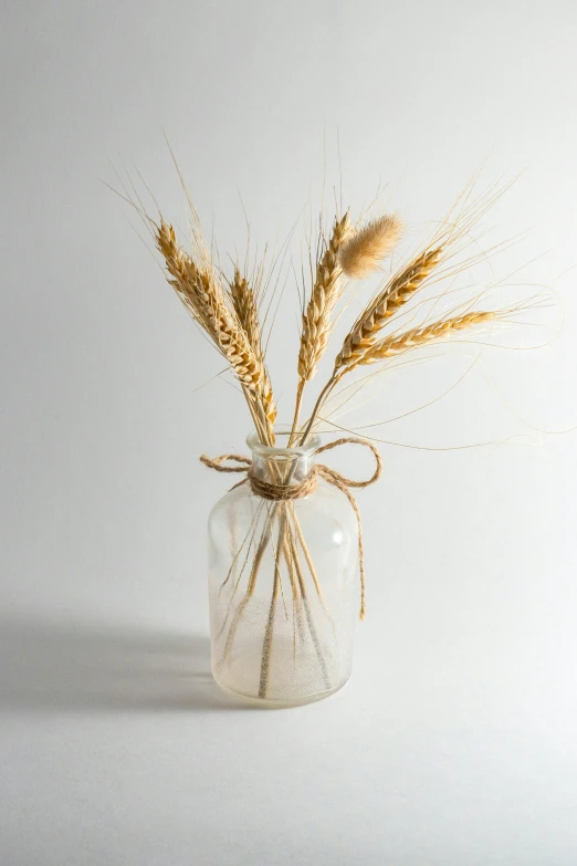 the wheat is placed inside the glass jar